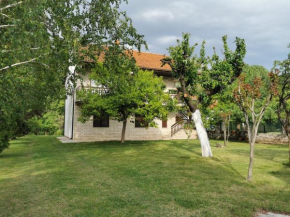 River House Arelic